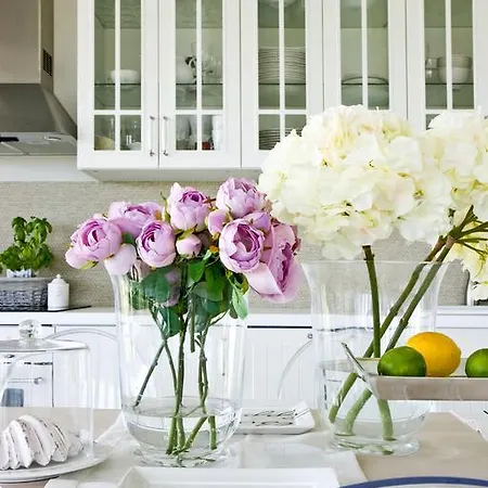 Bialy Hampton W Playa Baltis Daire