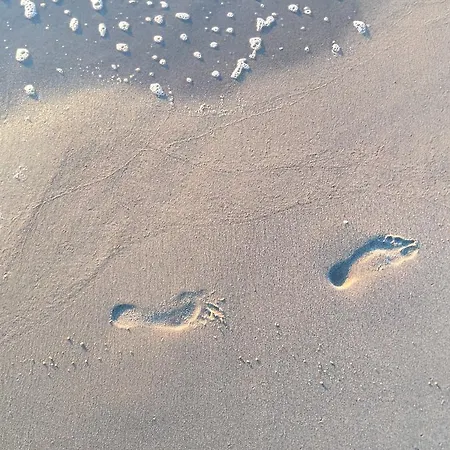 Biały Hampton W Playa Baltis