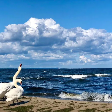 Daire Bialy Hampton W Playa Baltis *