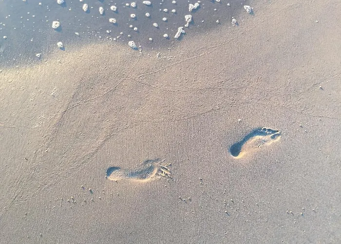 Bialy Hampton W Playa Baltis