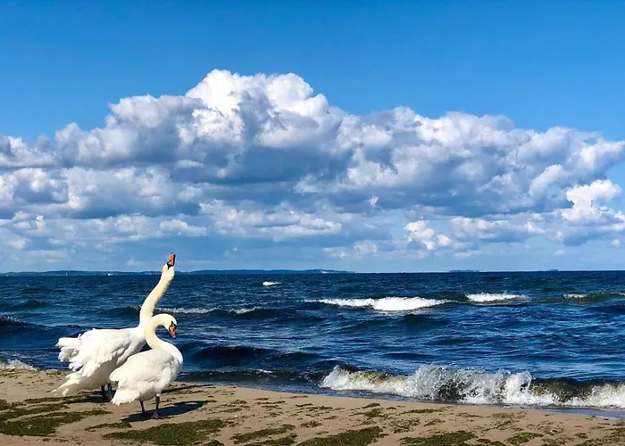 Appartement Bialy Hampton W Playa Baltis *