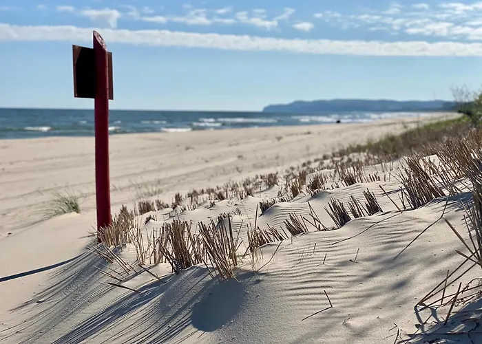 Bialy Hampton W Playa Baltis